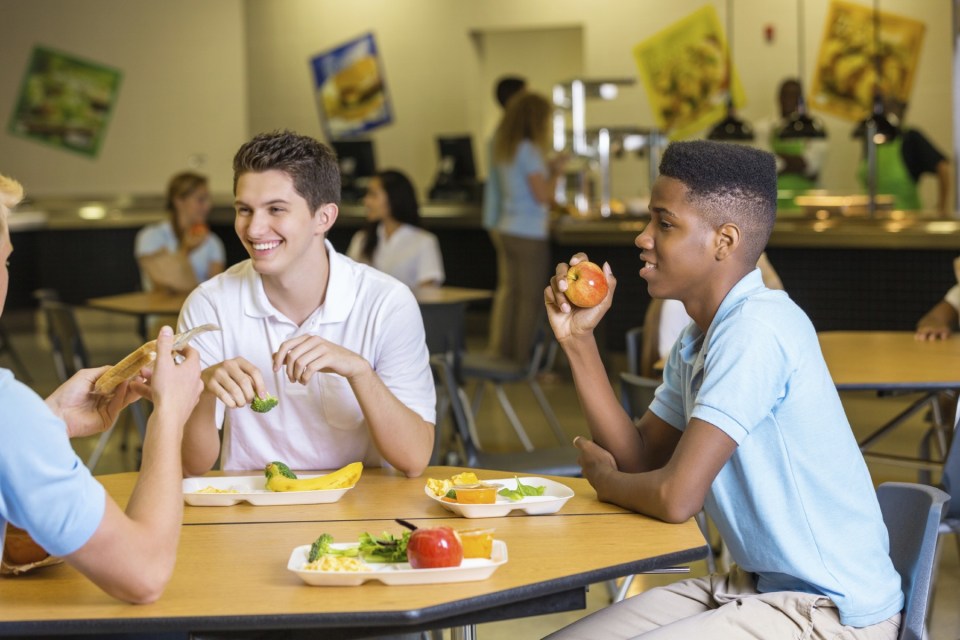 iStock_000044774224_Large